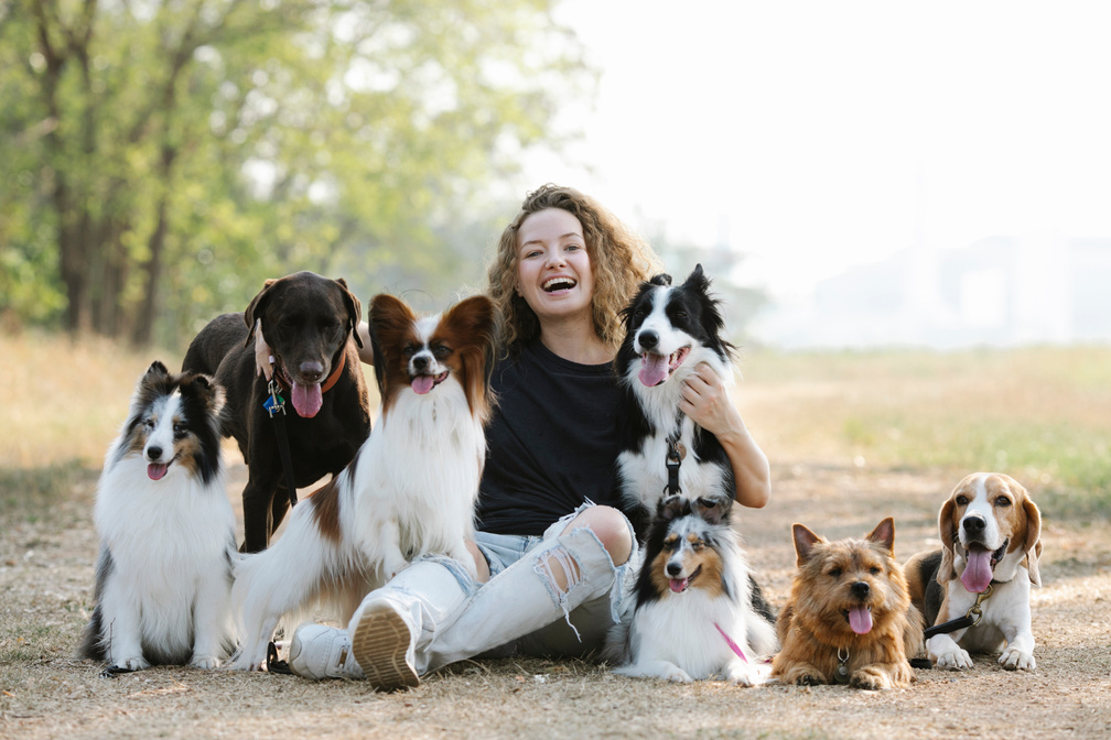 Optimistic female owner resting with dogs in nature