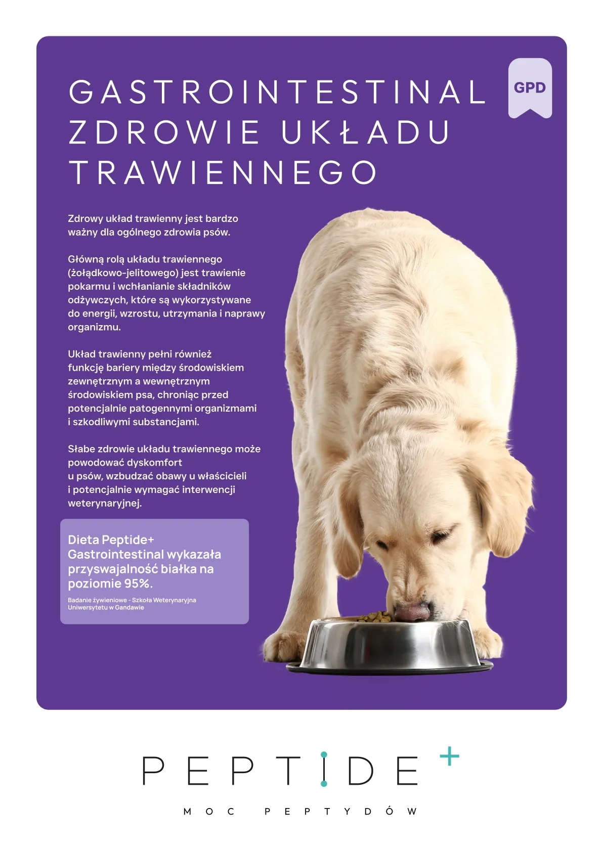 gpd (1) wynik gpd (1) wynik