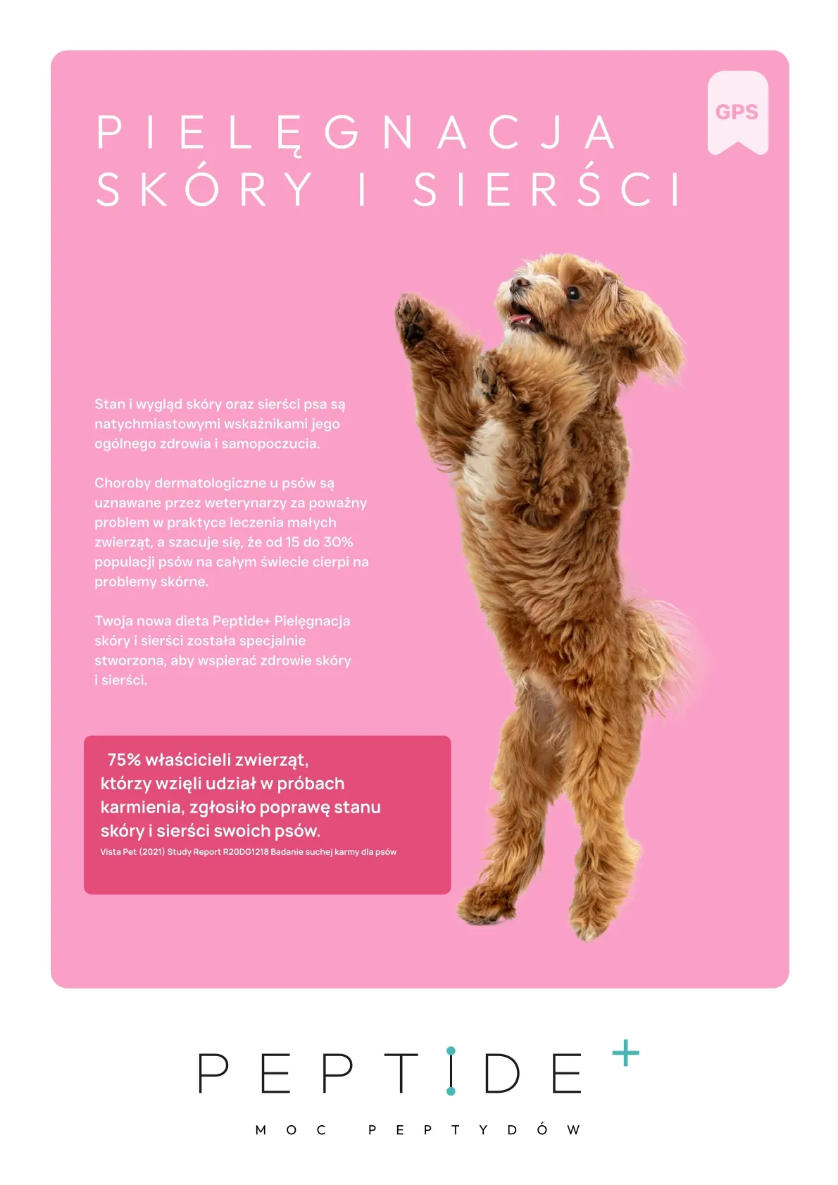 gps (1) wynik gps (1) wynik