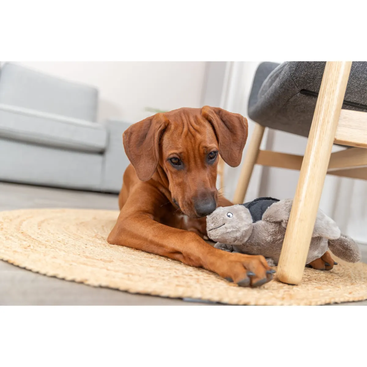 be nordic Żółw hauke – zabawka dla psa 34 cm be nordic Żółw hauke – zabawka dla psa 34 cm