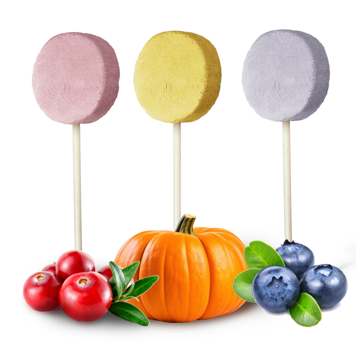 dr malou liofilizowane lizaki mięsne dla psa (mix smaków) 48 g Pokazane trzy rodzaje lizaków z zestawu lizaków liofilizowanych dla psa Dr Malou